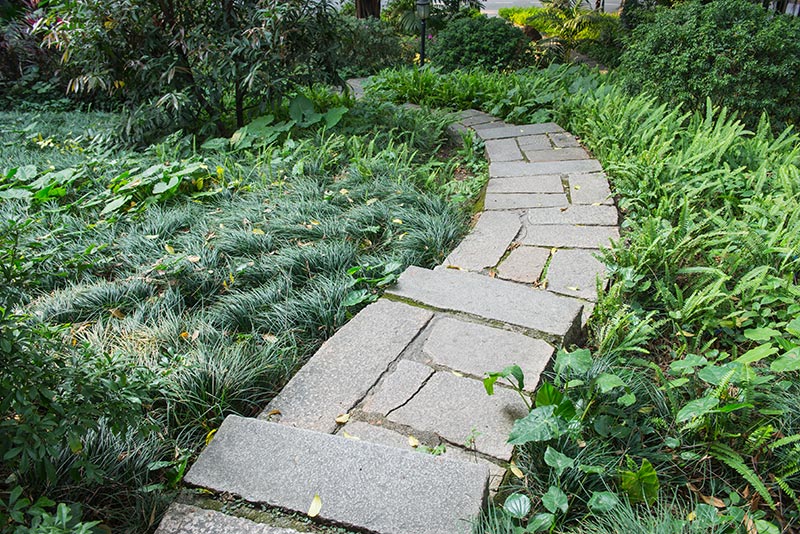 Landscape and Garden Services